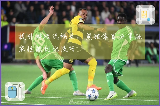 提升游戏流畅度，熊猫体育分享独家性能优化技巧